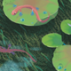 Image for article titled Fantastic Concept Art from the Pixar Film That Never Happened, Newt